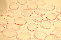 A NIGHT AT THE GRANDE